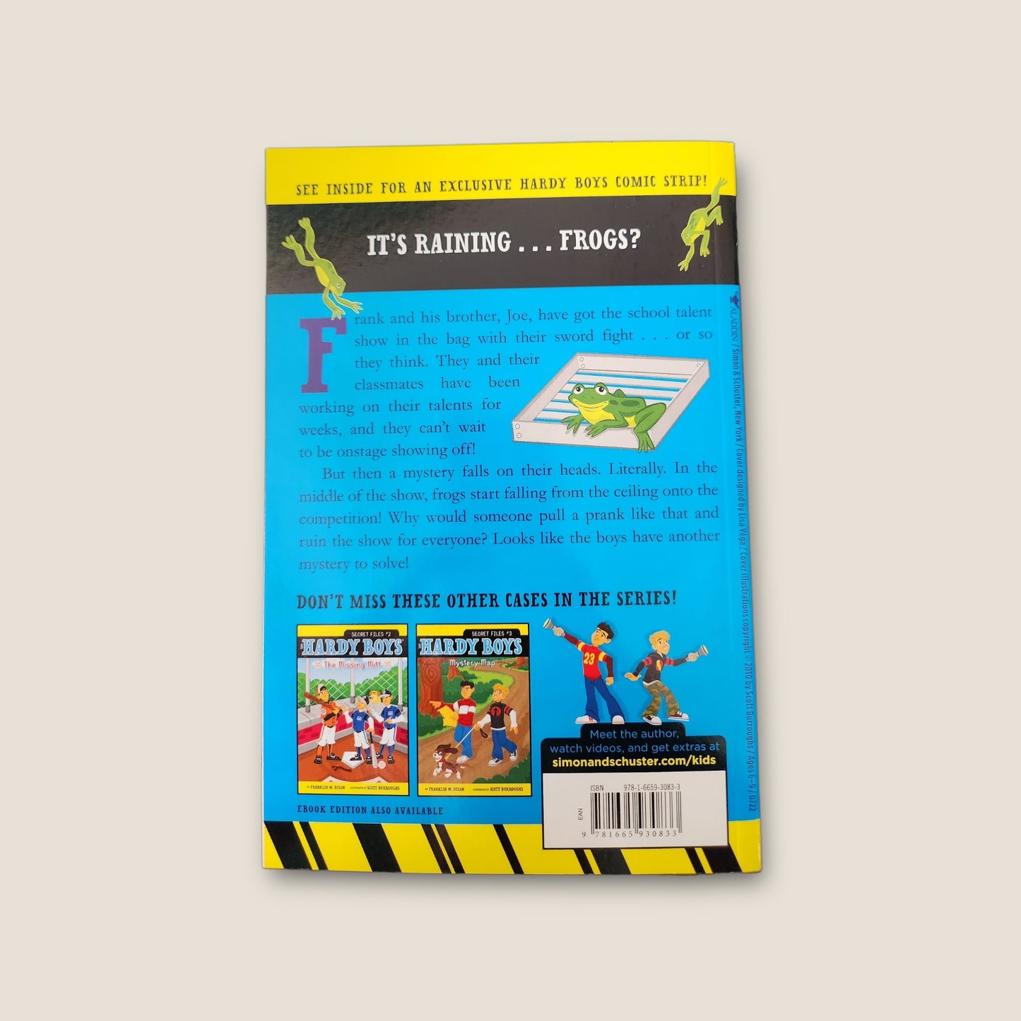 Hardy Boys Secret Files #4