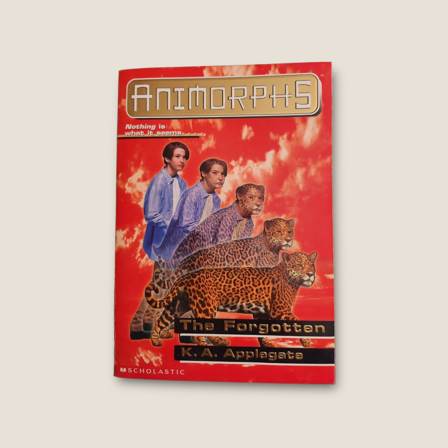 ANIMORPHS #11