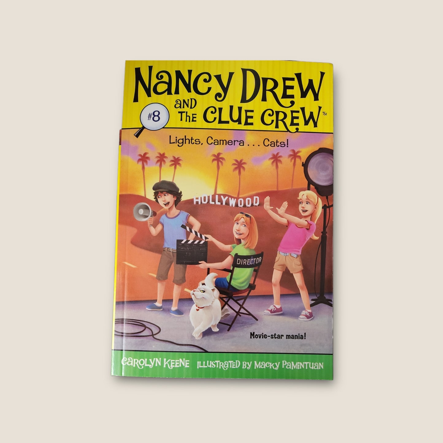 Lights, Camera...Cats!