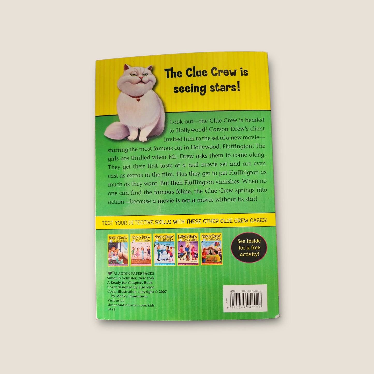 Lights, Camera...Cats!