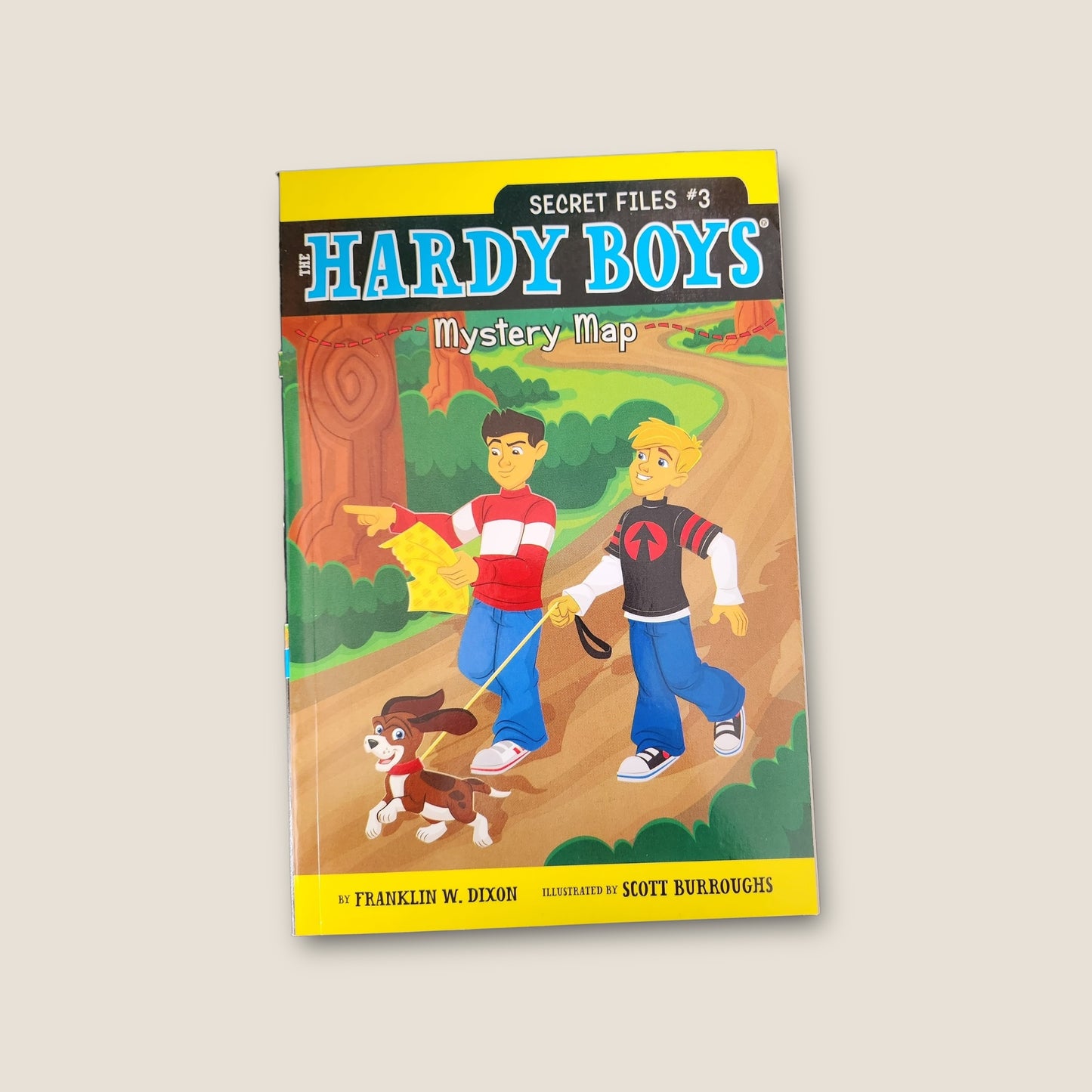 Hardy Boys Secret Files #3